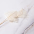 Ostrich Arrow Quill