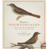 Pasta For Nightingales by Helen Macdonald