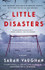 Little Disasters: A Novel by Sarah Vaughan