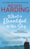 What is Beautiful in the Sky by Michael Harding