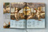 Raphael: The Complete Works: Paintings, Frescoes, Tapestries, Architecture by Taschen (XXL)