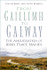 From Gaillimh to Galway: The Anglicisation of Irish Place Names by Tom Burnell & Ruth Burnell