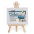 Mini Canvas w/Easel