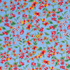 100% Viscose - Bright Floral Blue - Per ½ Metre