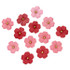 Paper Flowers (30pk)