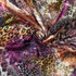 Fuchsia Jungle Luxury Silk Viscose Chiffon - Per ¼ Metre