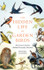 The Hidden Life of Garden Birds by Dominic Couzens