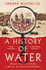 A History of Water: Being an Account of a Murder, an Epic and Two Visions of Global History by Edward Wilson-Lee (Hardback)