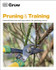 Grow Pruning & Training by Stephanie Mahon