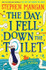 The Day I Fell Down the Toilet by Stephen Mangan