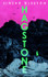 Cover image for Hagstone by Sinéad Gleeson