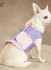 Small Fancy Dog Clothes in Simplicity (S2393)