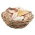 Decorative Shells in Basket