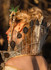 Misses' Woodland Fae Costume in Simplicity Costumes (S3160)