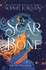 Book cover for A Scar in the Bone by Sophie Jordan