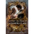 Book cover for Better in Black by Cassandra Clare