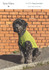 Madra Dog Jacket in Yarn Vibes Aran - PDF