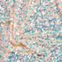 Holographic Sequin on Peach Mesh - Per ¼ Metre