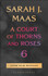 A Court of Thorns and Roses 6 by Sarah J. Maas