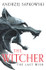 Cover image for The Last Wish by Andrzej Sapkowski
