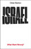 Cover image for Israel: What Went Wrong? by Omer Bartov