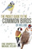 The Pocket Guide to the Common Birds of Ireland by Eric Dempsey