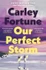 Our Perfect Storm by Carley Fortune