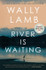 Cover image for The River Is Waiting by Wally Lamb