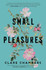 Book cover for Small Pleasures by Clare Chambers