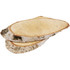 Birch Wood w/Bark Slices (7pcs)