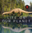 Book cover for Life on Our Planet: A Stunning Re-Examination of Prehistoric Life on Earth by Tom Fletcher