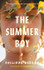 Book cover for The Summer Boy by Philippe Besson