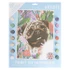 Paint By Numbers - Adorable Pug
