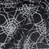 Silver Close Up