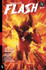 Absolute Flash Vol. 1: Of Two Worlds by Jeff Lemire