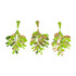 Christmas Craft Embellishments (3pcs) - Mistletoe