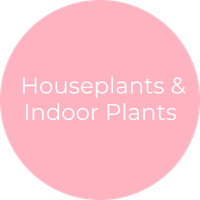 Houseplants & Indoor Plants Books