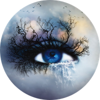 The Shatter Me Series