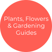 Plants, Flowers & Gardening Guides