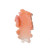 The Lip Scrub Exfoliant - Sparkling Peach