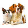Tachyon For Your Pets