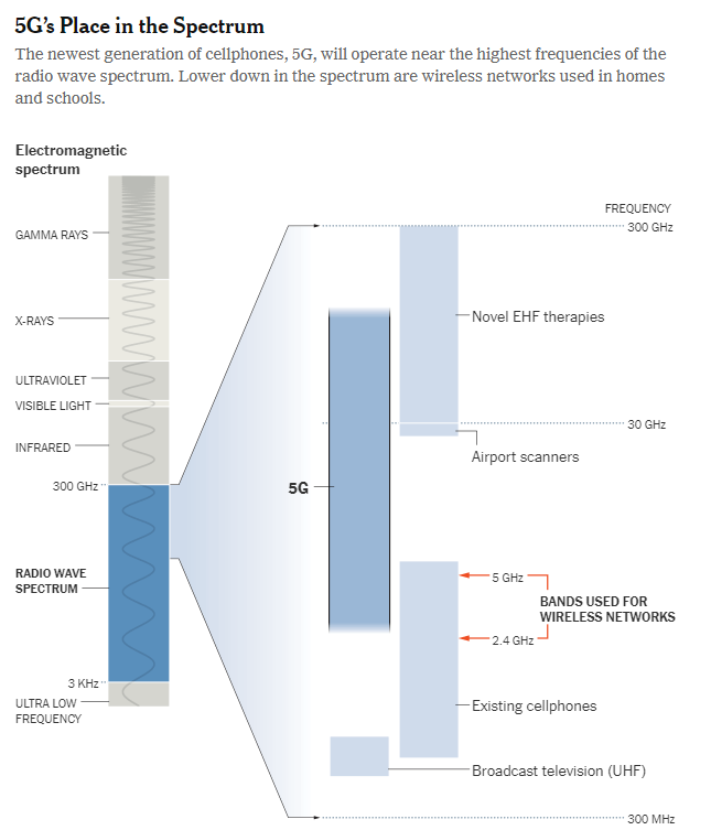 5-g-graph.png