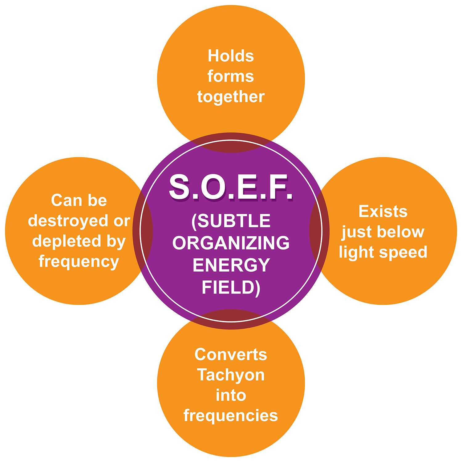 soef-image.jpg