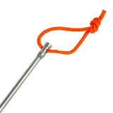 Titanium Nail Peg 20cm
