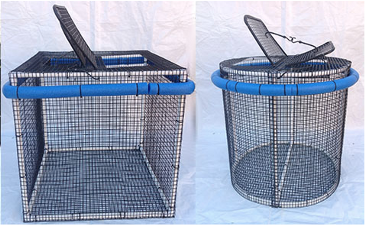 Collapsible bait pen