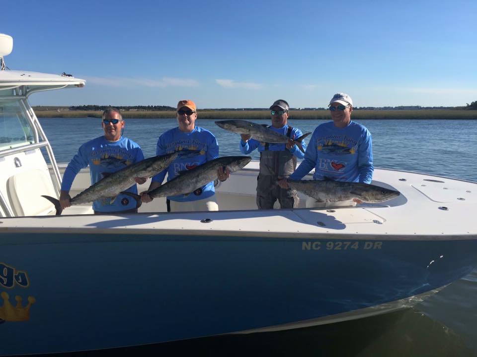 Goric Series - Billfish Tackle Supply