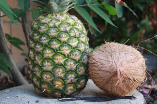 NEW SCENTS NOW AVAILABLE