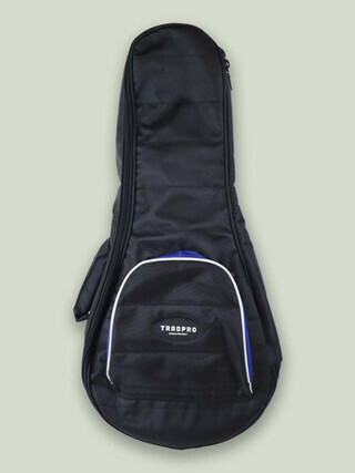 Mandolin Gig Bags