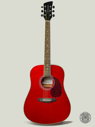 Acoustic Guitars