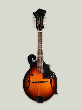 Mandolins